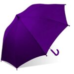 The-Weather-Station-Children-s-Stick-Umbrella-with-Curved-Handle